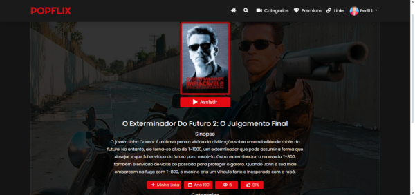 Script site de filmes estilo Netflix ( PHP 8.1) - Imagem 4